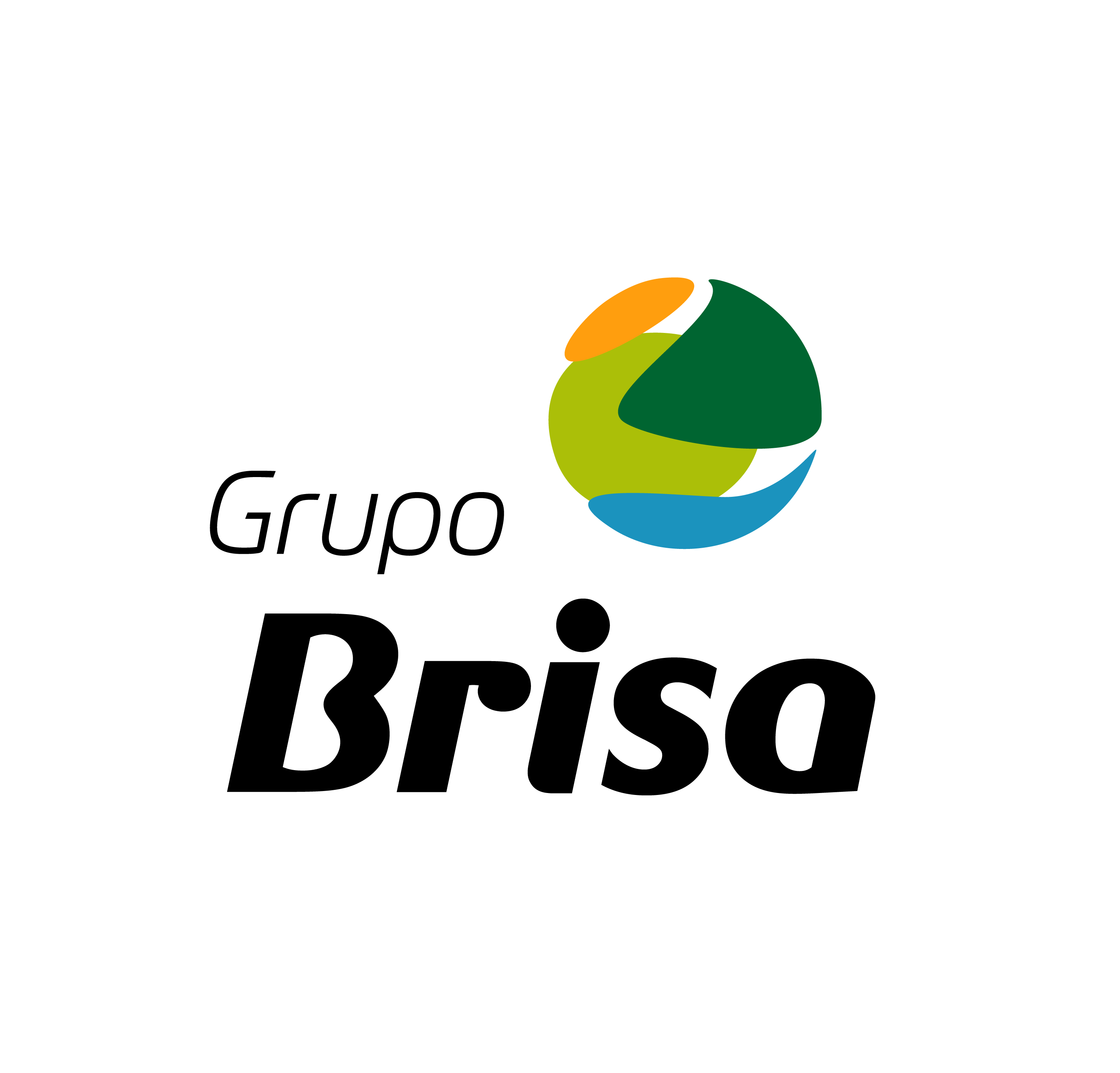 Grupo Brisa
